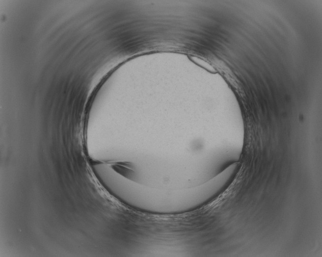 X0000087310904200705180943