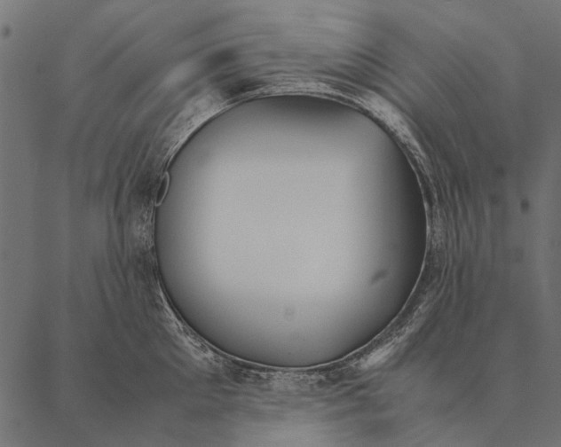 X0000087310905200705180943