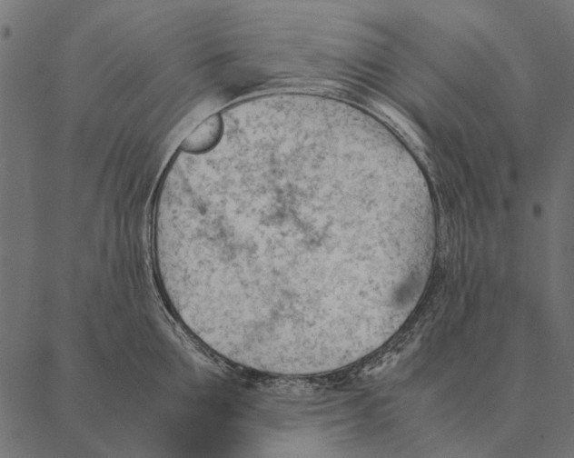 X0000087310907200705180943