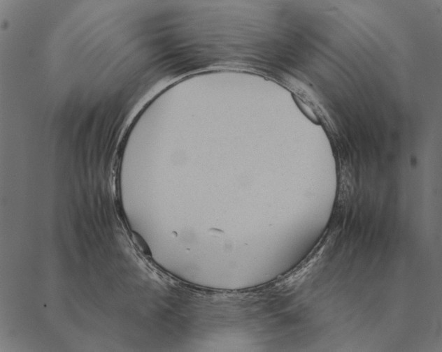 X0000087310908200705180943