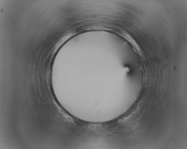 X0000087310909200705180943