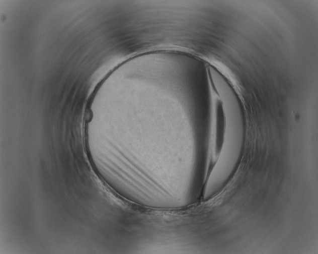 X0000087310910200705180943