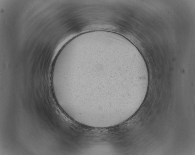 X0000087310912200705180943