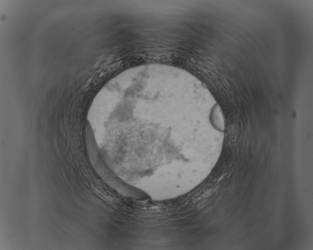 X0000087310913200705180942