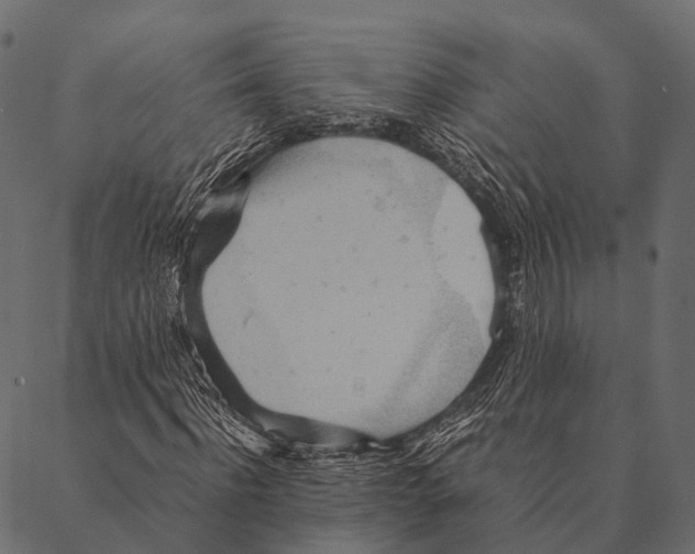 X0000087310916200705180942