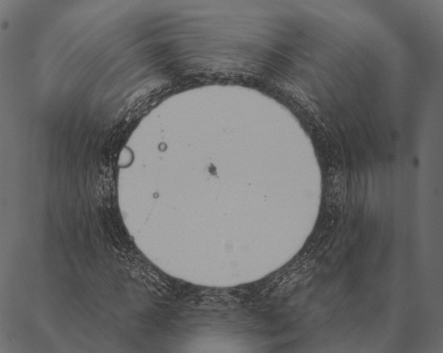 X0000087310918200705180942