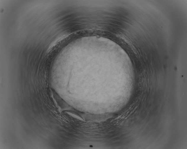 X0000087310919200705180942