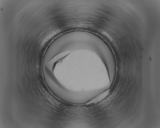 X0000087310922200705180942