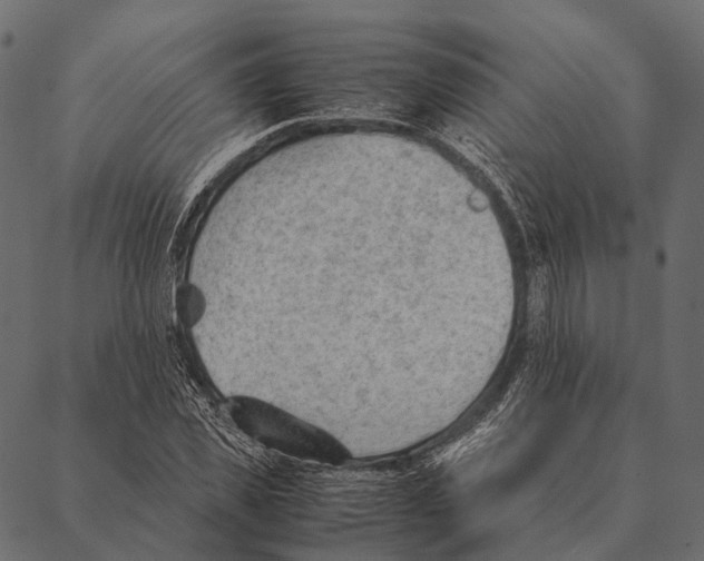 X0000087310925200705180942