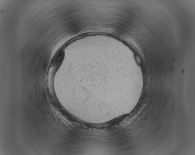 X0000087310928200705180942