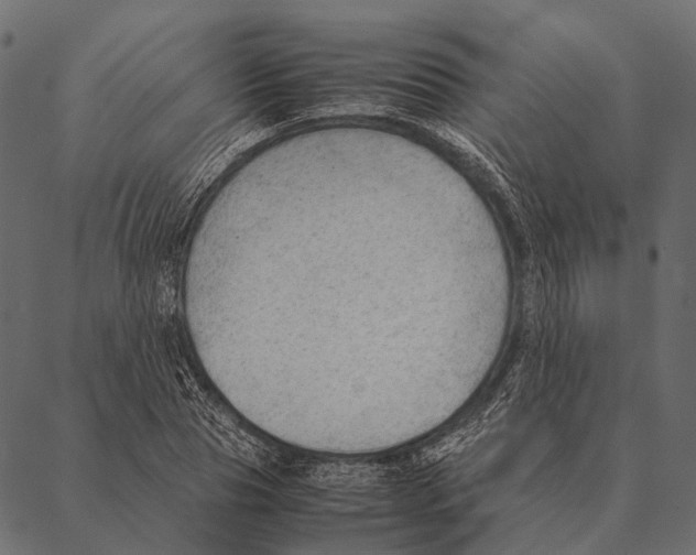 X0000087310929200705180942