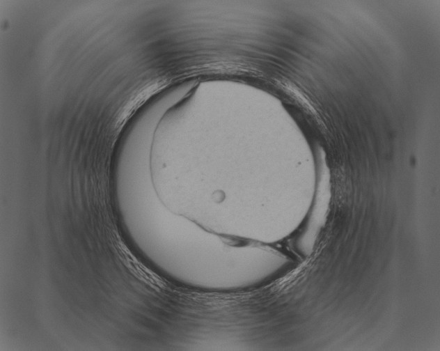 X0000087310930200705180942