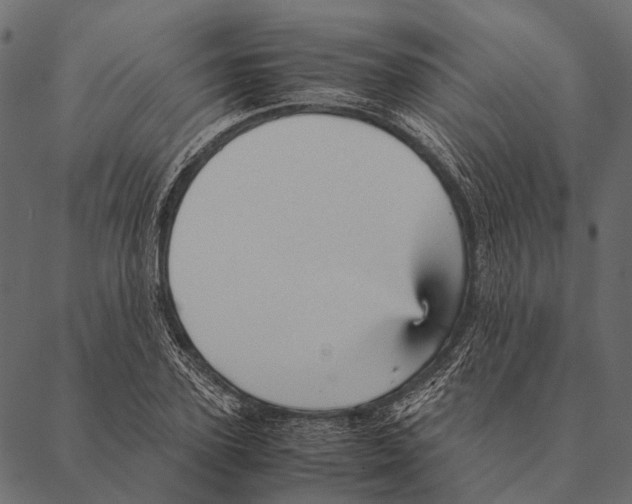 X0000087310931200705180942