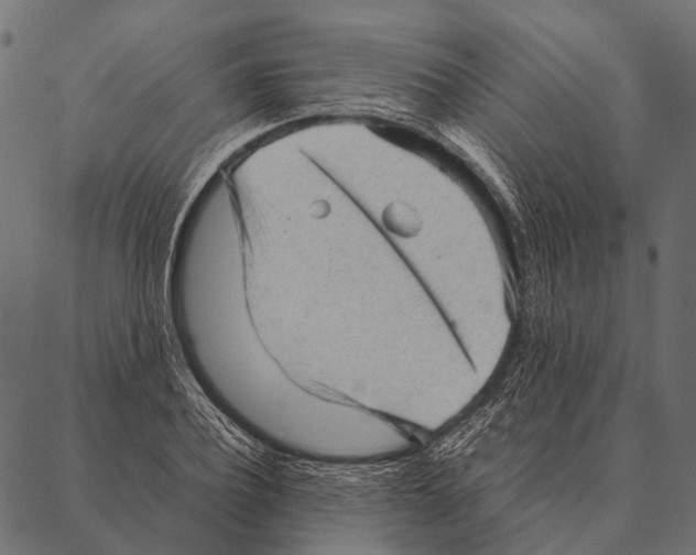 X0000087310932200705180942