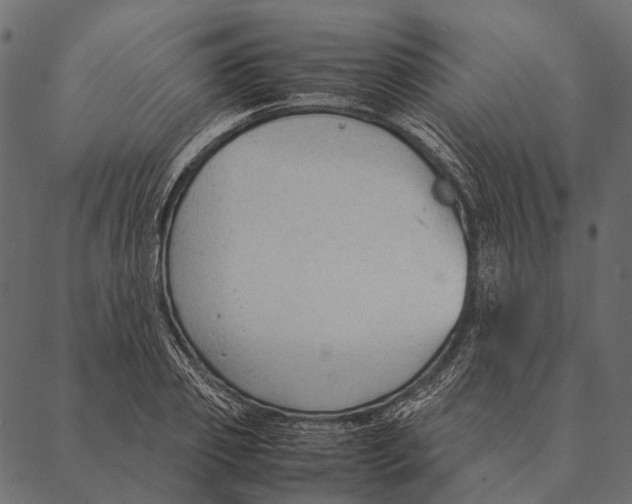 X0000087310933200705180942