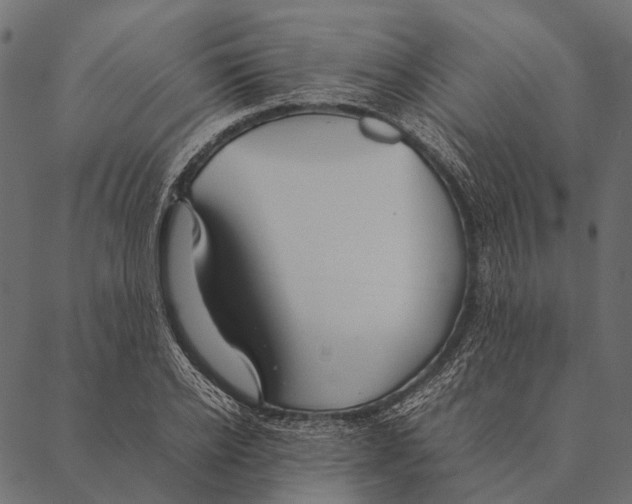 X0000087310934200705180942