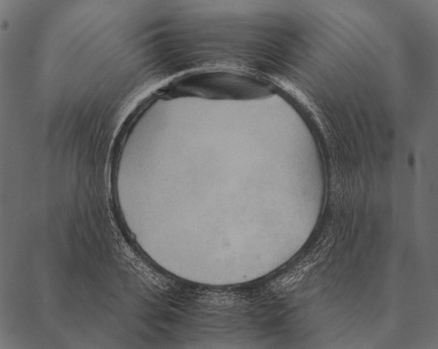 X0000087310935200705180942