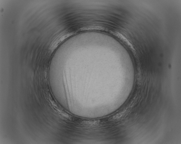 X0000087310937200705180942