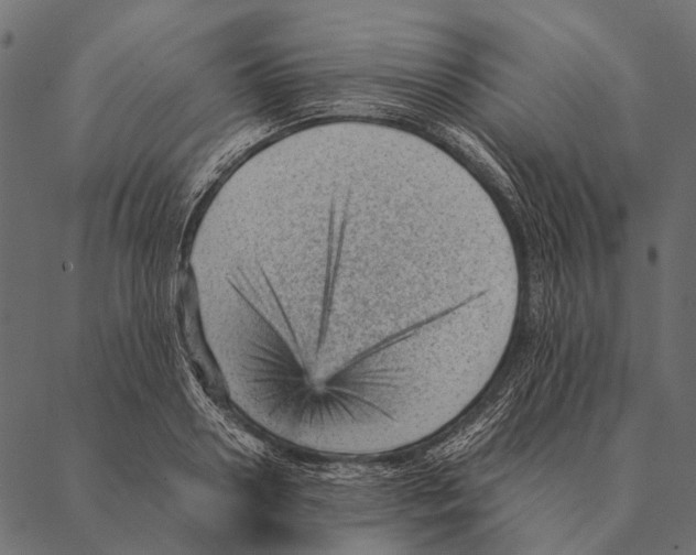 X0000087310938200705180942