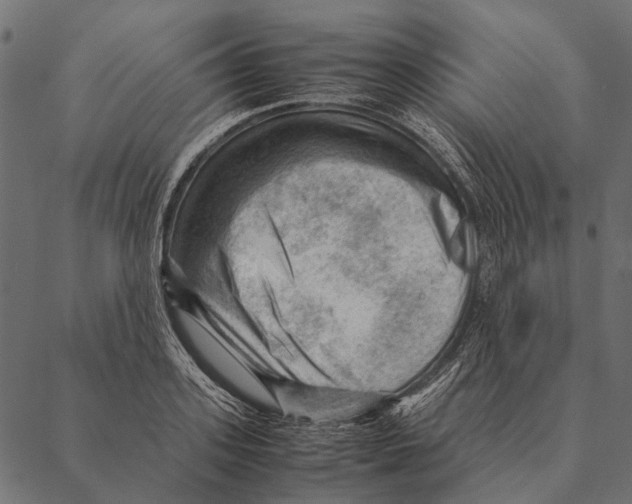 X0000087310939200705180942