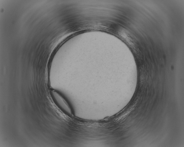 X0000087310940200705180942