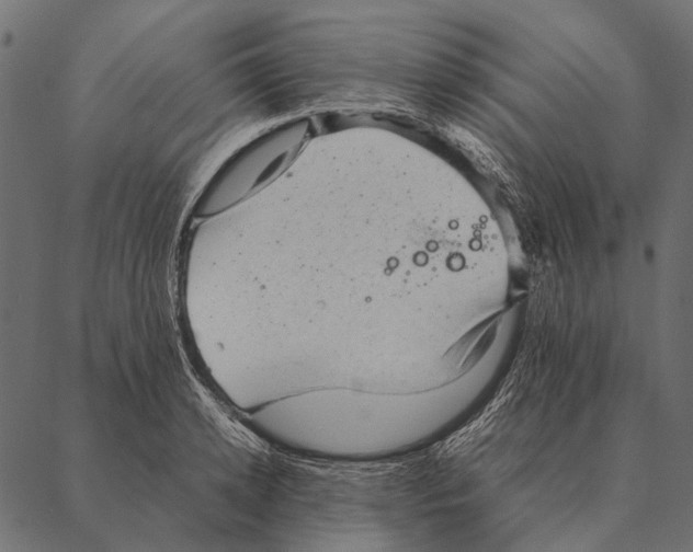 X0000087310942200705180942