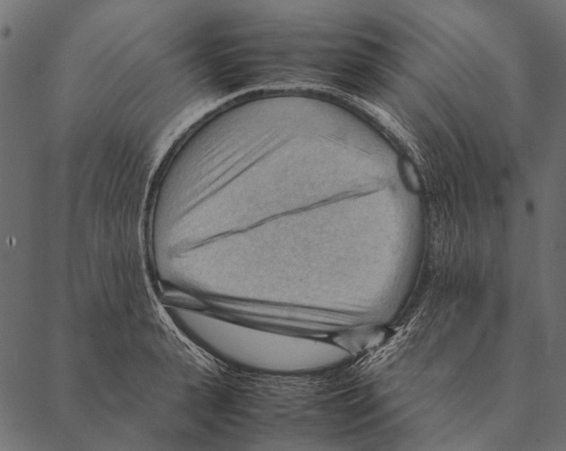 X0000087310943200705180942