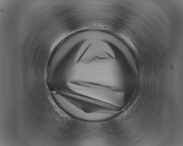 X0000087310944200705180942