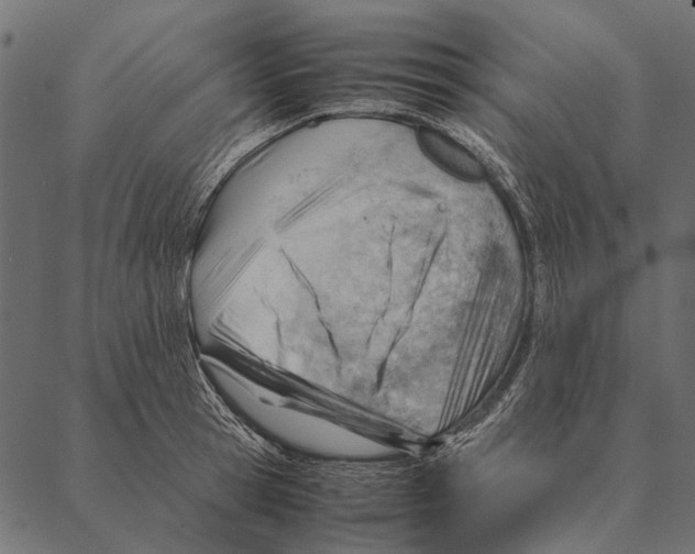 X0000087310945200705180942