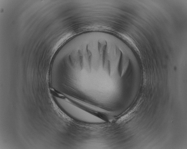 X0000087310946200705180942