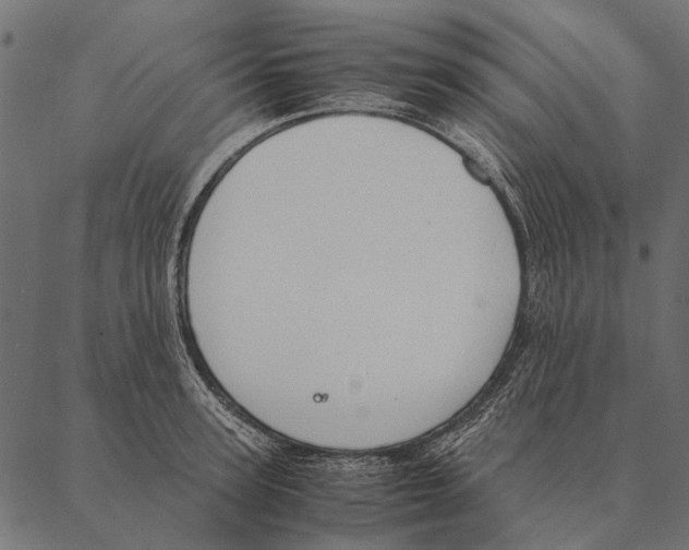 X0000087310947200705180942