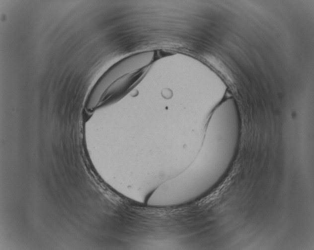 X0000087310948200705180942