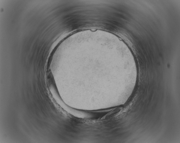 X0000087310949200705180942