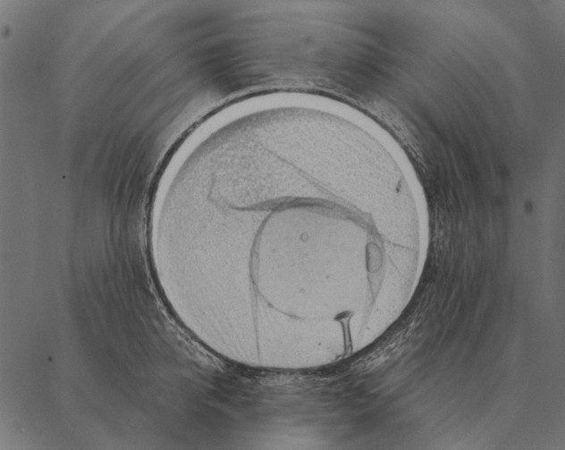 X0000087310950200705180942