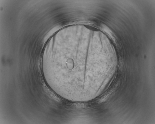 X0000087310952200705180942