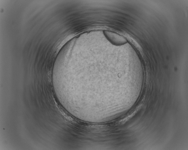 X0000087310953200705180942