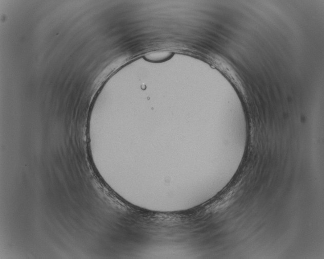 X0000087310954200705180942