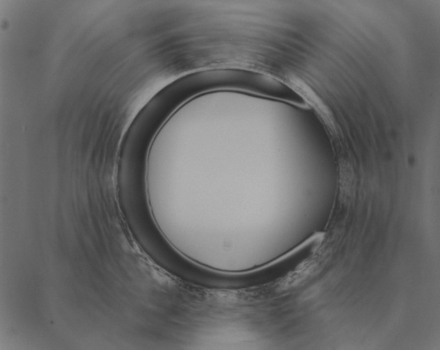 X0000087310956200705180943