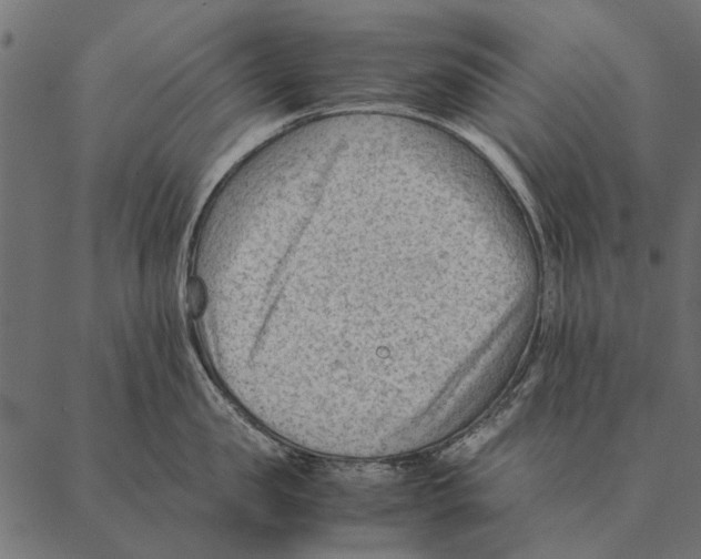 X0000087310957200705180943