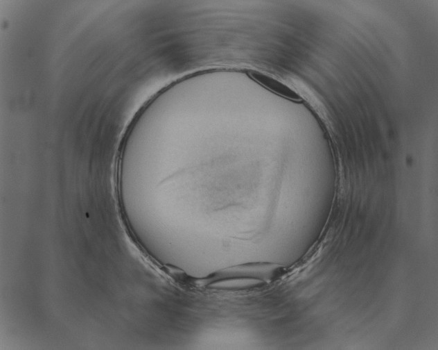 X0000087310958200705180943