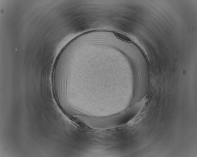 X0000087310959200705180943