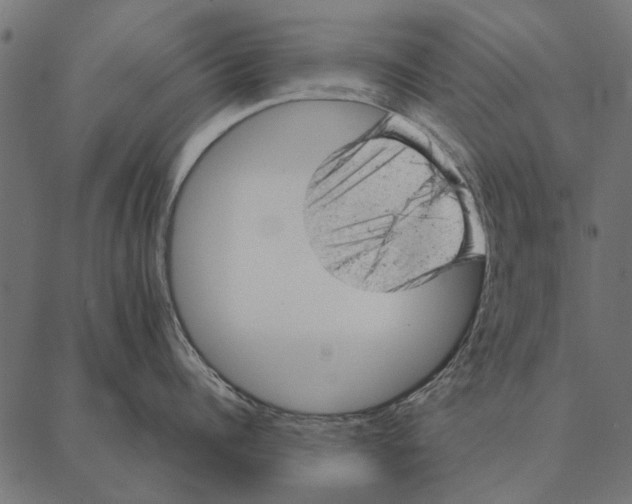 X0000087310960200705180943