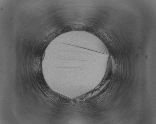 X0000087310964200705180942