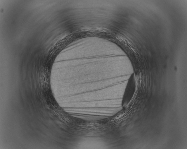 X0000087310966200705180942