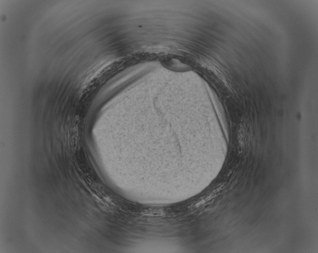 X0000087310968200705180942