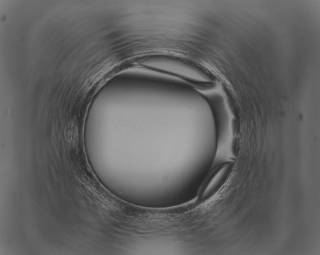 X0000087310969200705180942