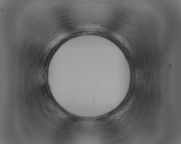 X0000087310970200705180942