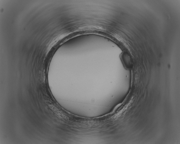 X0000087310973200705180942