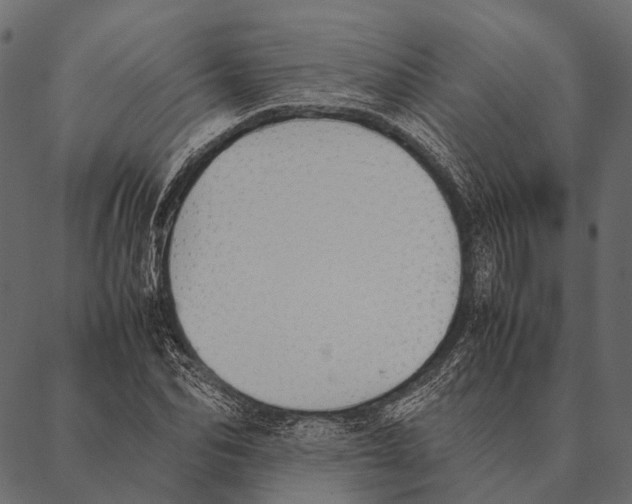 X0000087310974200705180942