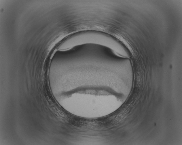 X0000087310975200705180942